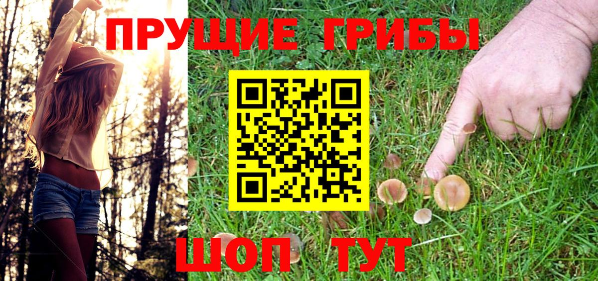 Галлюциногенные грибы Psilocybine cubensis Тихвин
